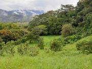 VENTA LOTE VENECIA SUROESTE DE ANTIOQUIA