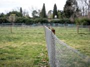 Venta lotes barrio cerrado Parque Peró Del Viso