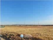 VENTA LOTES Barrio La Ernestina