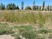 VENTA LOTES DON FEDERICO ALLEN