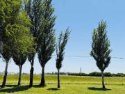 VENTA LOTES EN ZÁRATE