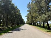 VENTA LOTES HARAS DE FUNES