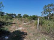 VENTA LOTES MERIDA DZITYA MERIDA