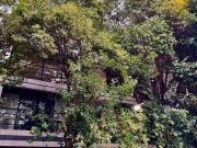 VENTA MODERNO PH CON ROOF PRIVADO Y TERRAZA NARVARTE...