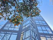 Venta Oficina San Isidro Centro