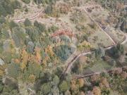 VENTA OPRTUNIDAD PARCELA MIRADOR DEL HUIFE PUCON