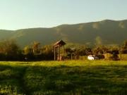 VENTA PARCELA 2 HECTÁREAS EN OLMUÉ Pozo inscrito