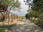 Venta Parcela 5000m2, Casablanca