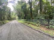 VENTA PARCELA 5000MTS Puerto Varas