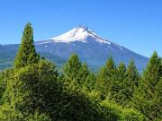 Venta Parcela 5.000Mts2, Menetue, Pucon