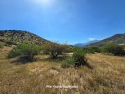 Venta Parcela Condominio Brisas de Coinco Venta Parcela Condominio Brisas de Coinco