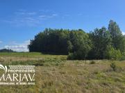 Venta Parcela de 5.000 m2, km 10 ruta Villarrica Pedregoso