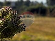 Venta parcela de Agrado en Temuco