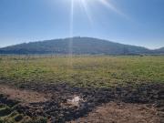 Venta Parcela de Agrado, Melipilla
