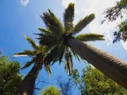 VENTA PARCELA HIJUELAS OASIS DE LA CAMPANA