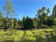 Venta Parcela Loncotraro