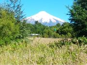 Venta Parcela Molco en Villarrica