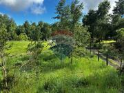 Serene 5000m² Plot in Picturesque Pucon
