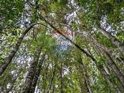 Venta parcela Pucón con acceso a rio Carhuello