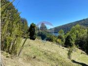 Venta Parcela Pucón Huerquehue