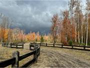 Venta Parcela Pucón Villarrica Sector Loncotraro