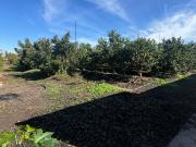 VENTA PARCELA SAN ISIDRO, QUILLOTA