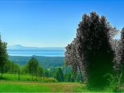 Venta Parcela Vista Lago y Volcan, Pucon Venta Parcela Vista Lago y Volcan, Pucon