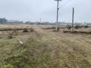 VENTA PARCELAS 5000M2 SIN COMISION