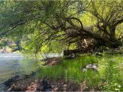 Venta parcelas con vista al volcán y acceso a rio