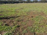 VENTA PARCELAS Ex Asentamiento El Melón, Nogales
