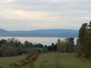 VENTA PARCELAS VILLARRICA LOS GUINDOS 5000 M2