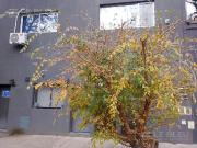 Venta PH 2 ambientes con terraza en Villa Pueyrred?n