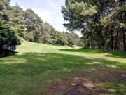 VENTA PH CON TERRAZA Y 4 BALCONES CLUB DE GOLF BOSQUES...