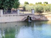 VENTA PISO CENTRICO EN MACASTRE, 2 HABITACIONES,...