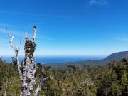 Venta Propiedad 50 Hectáreas – Lenca, Puerto Montt