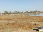 VENTA PROPIEDAD EJIDAL 4.2 HA