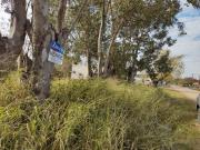 VENTA: QUINTA EN CORONDA Ref. 771