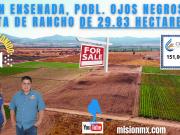 Venta Rancho en Ojos Negros 29.84 Ha Venta Rancho en Ojos Negros 29.84 Ha