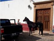 VENTA RANCHO TECOZAUTLA, HIDALGO
