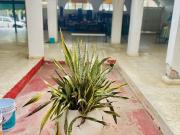 venta / renta salón de eventos