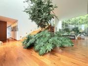 VENTA HERMOSA CASA DE DISEÑO EN JARDINES DEL PEDREGAL