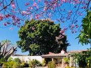 VENTA RESIDENCIA EN CUERNAVACA San Jerónimo $15´950,000