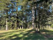 Venta Sitio Sector Carhuello Pucon