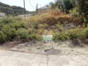 VENTA SOLAR EN EL BOSQUE