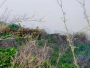 VENTA SOLAR. ZONA EXPANSIÓN