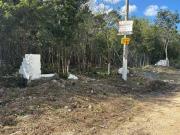VENTA TERRENO 1000 M2 COL. DOCTORES