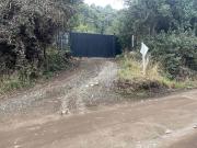 VENTA TERRENO 2900 M2 PLANO SOLEADO BOSQUE