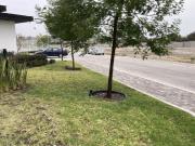 Venta terreno 300 m2 cerca Plaza Comercial Antea Queretaro