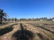 Venta Terreno 5.000 m2 Talagante