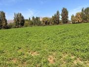 Venta Terreno Agrícola, Coltauco